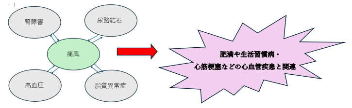 肥満や生活習慣病・心筋梗塞などの心血管疾患と関連