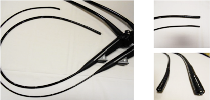 写真：経鼻内視鏡