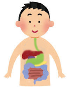 小さな傷の胃の腹腔鏡下手術